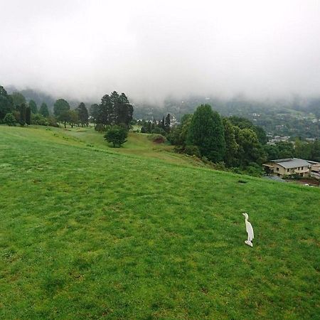 Duncountry Victoria Country Club Bed and Breakfast Pietermaritzburg Exterior foto